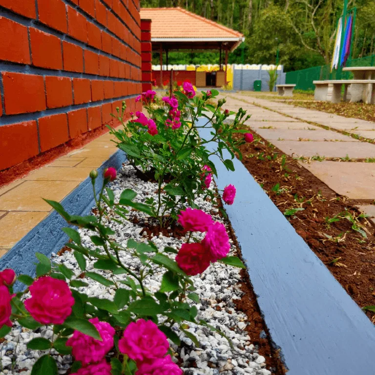 Coffee Oaks Homestay