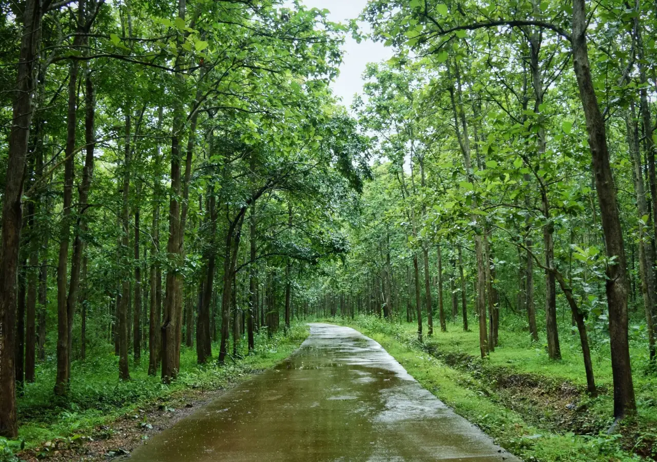 Muthodi wildlife Sanctuary